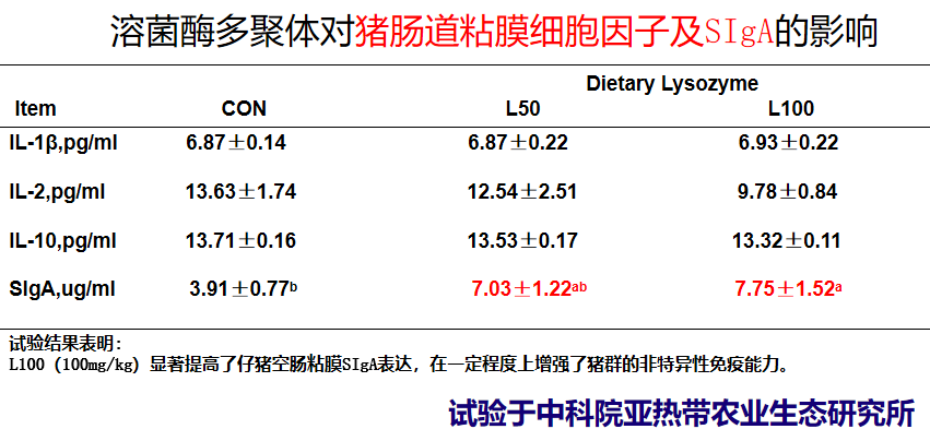 溶菌酶多聚体的非特异性免疫功能1