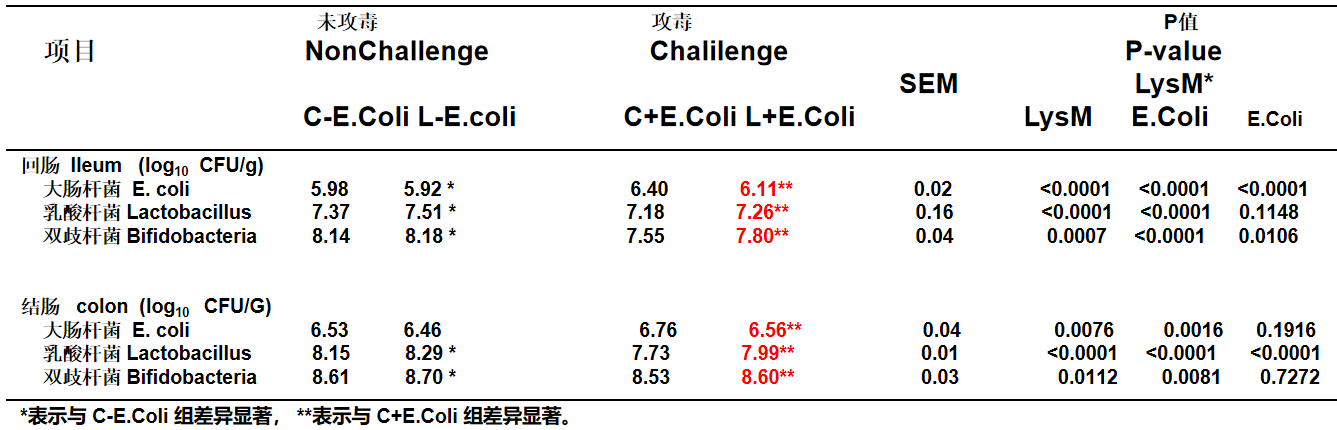溶菌酶多聚体对K88攻毒仔猪肠道微生物的影响