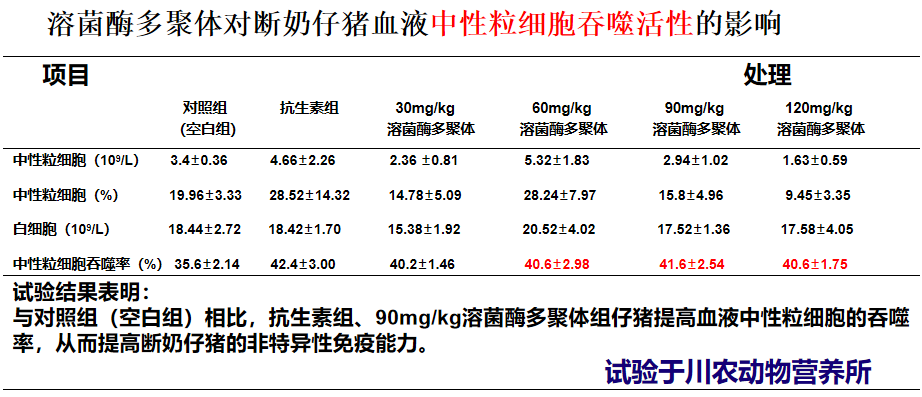 溶菌酶多聚体的非特异性免疫功能3