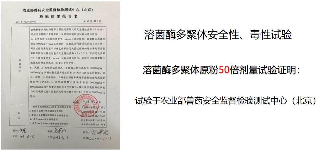 安全可靠的非特异性免疫因子