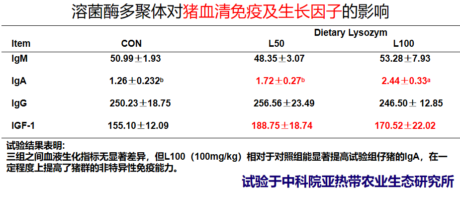 溶菌酶多聚体的非特异性免疫功能
