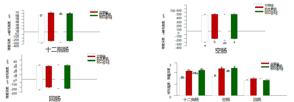 溶菌酶多聚体对断奶仔猪肠道形态的影响