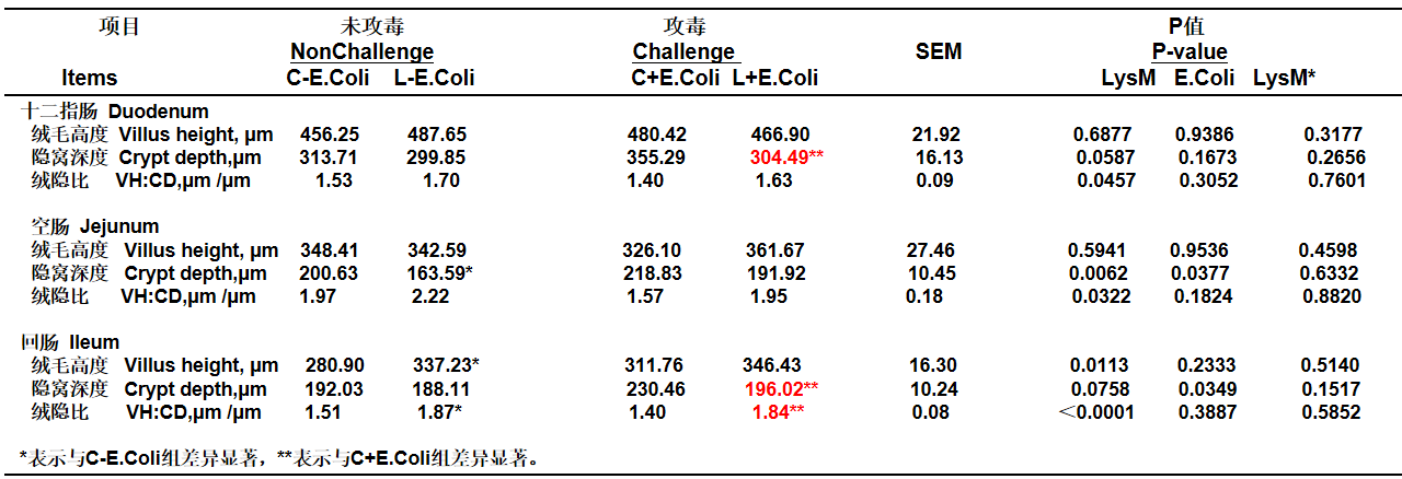 溶菌酶多聚体对K88攻毒仔猪肠道形态的影响
